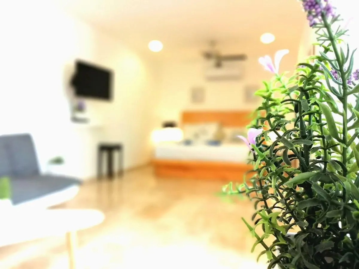 Apartman 5Th Coral Suites By Holiday In Playa Playa del Carmen